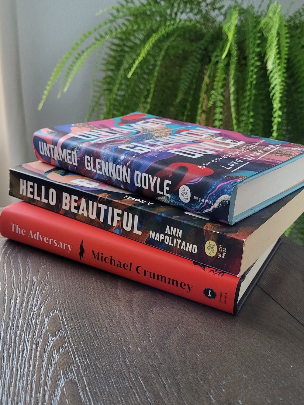 UNTAMED, HELLO BEAUTIFUL & THE ADVERSARY BOOKS SET OF 3